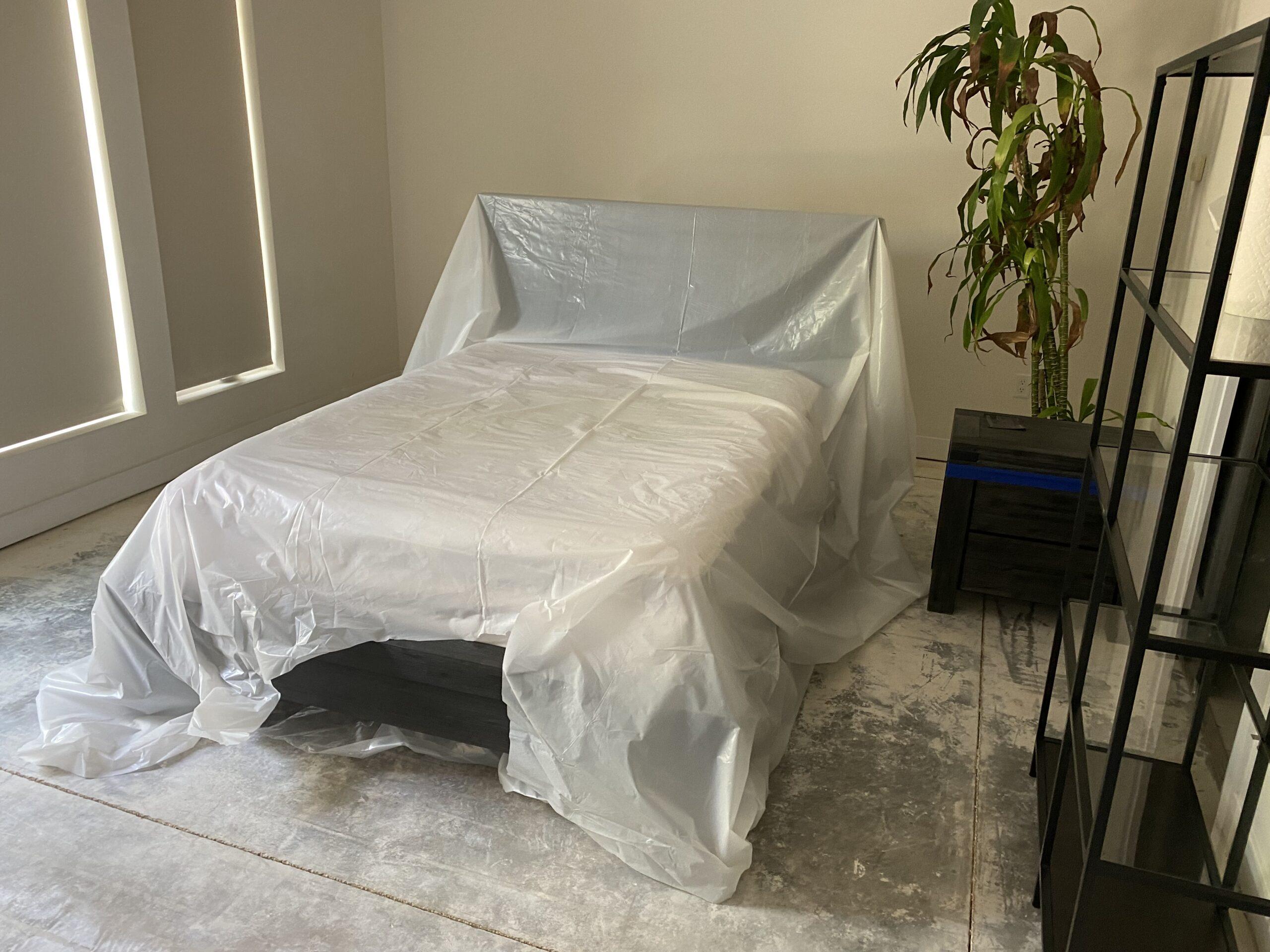 Mold Remediation