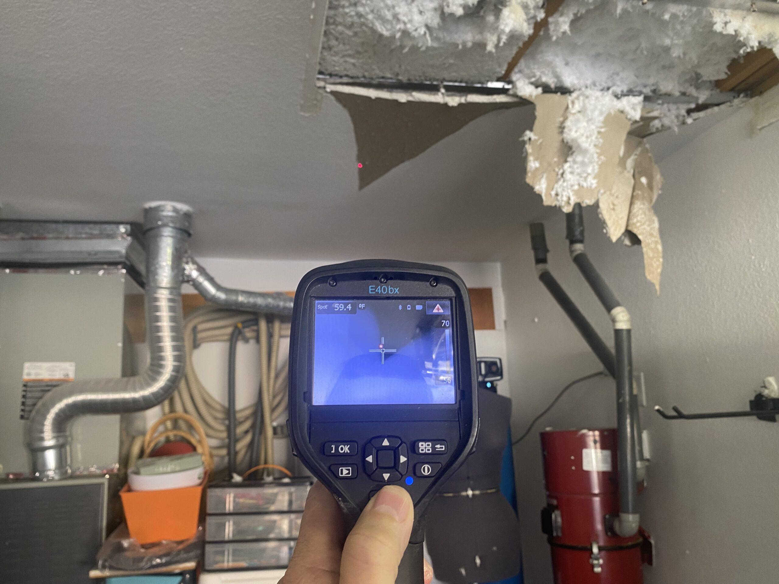 Mold Inspection