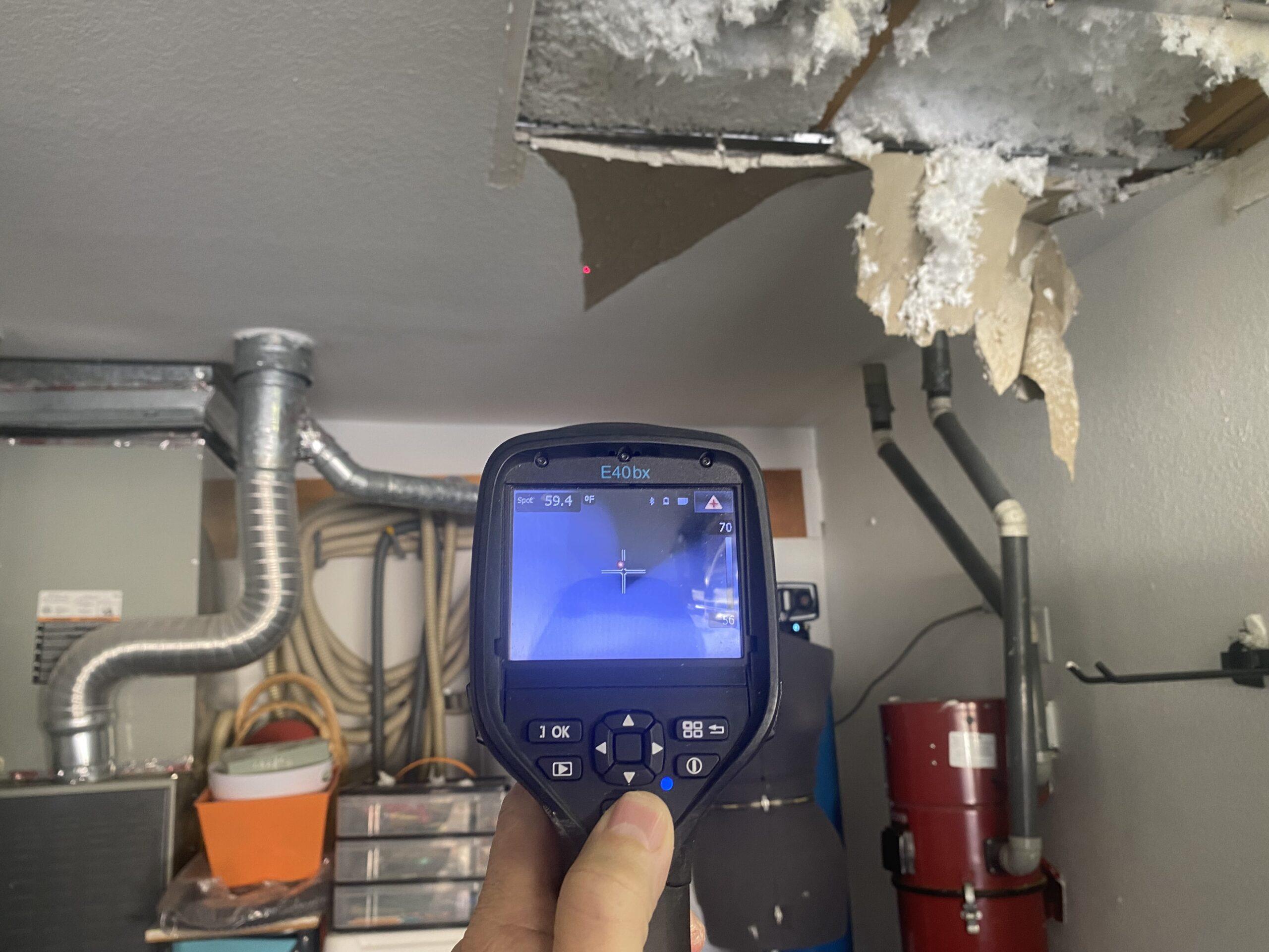 Mold Inspection & Remediation