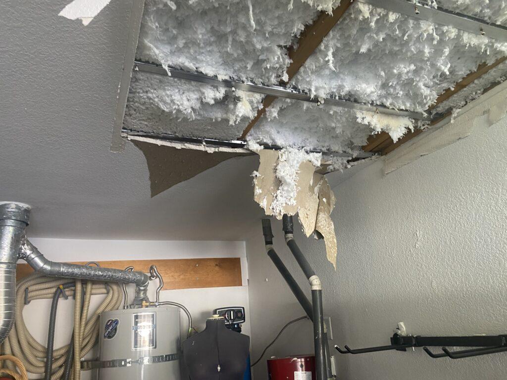 Mold Remediation Service