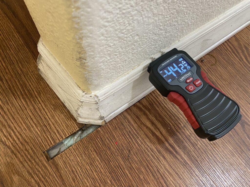 Mold in Rental House